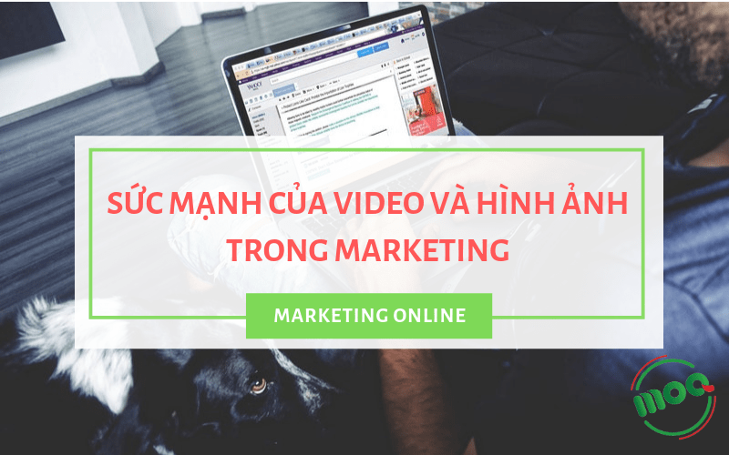 Học làm Video Marketing cho người mới bắt đầu